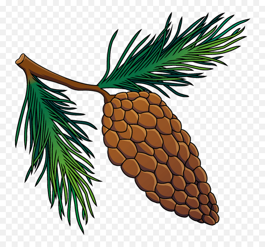 Pine Cone Clipart - Fresh Emoji,Pine Needles Emoji
