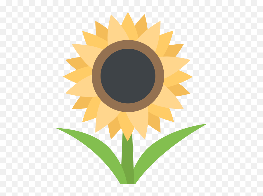 Sunflower - Energy Circle For Weight Loss Emoji,Sunflower Emoji