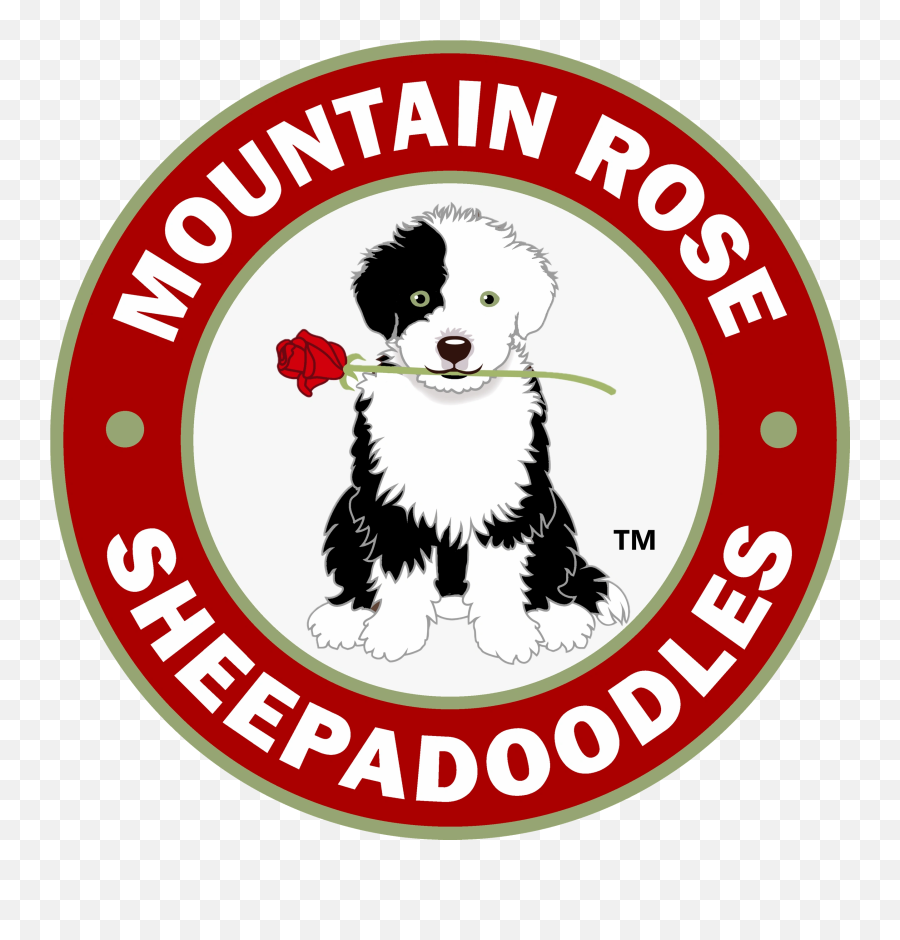 About Us - Mountain Rose Sheepadoodles Falafel Tanami Emoji,Clip Art Puppy Emotions