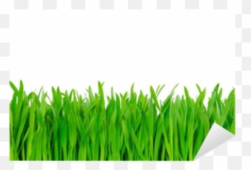 Grass Sticker U2022 Pixers - We Live To Change Grass Stickers Emoji,Home With Grass Emoji