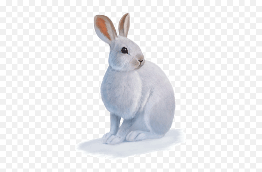 Fiction Ice Out Emoji,Icewind Dale Emotion Fear Vs Horror Fiction Ice Out Emoji,Icewind Dale Emotion Fear Vs Horror