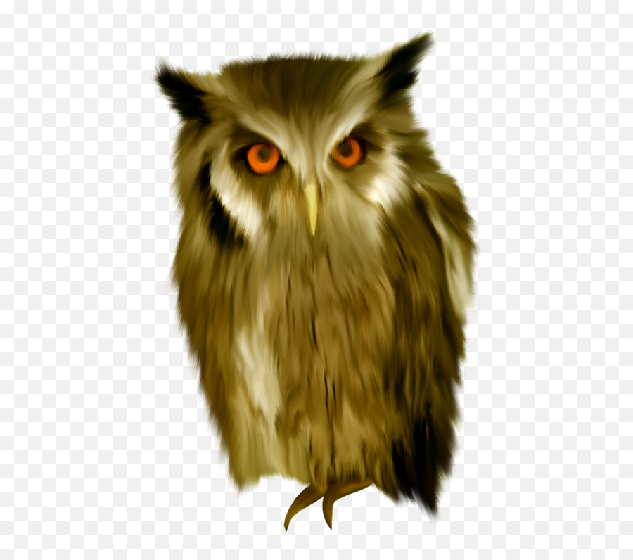 Bird Owl Transparent Png Images Download - Yourpngcom Emoji,Pictures Of Cute Emojis Of A Owl