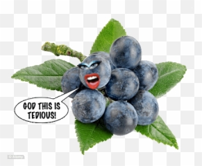 B3tacom Board - Superfood Emoji,Goatse Emoticon