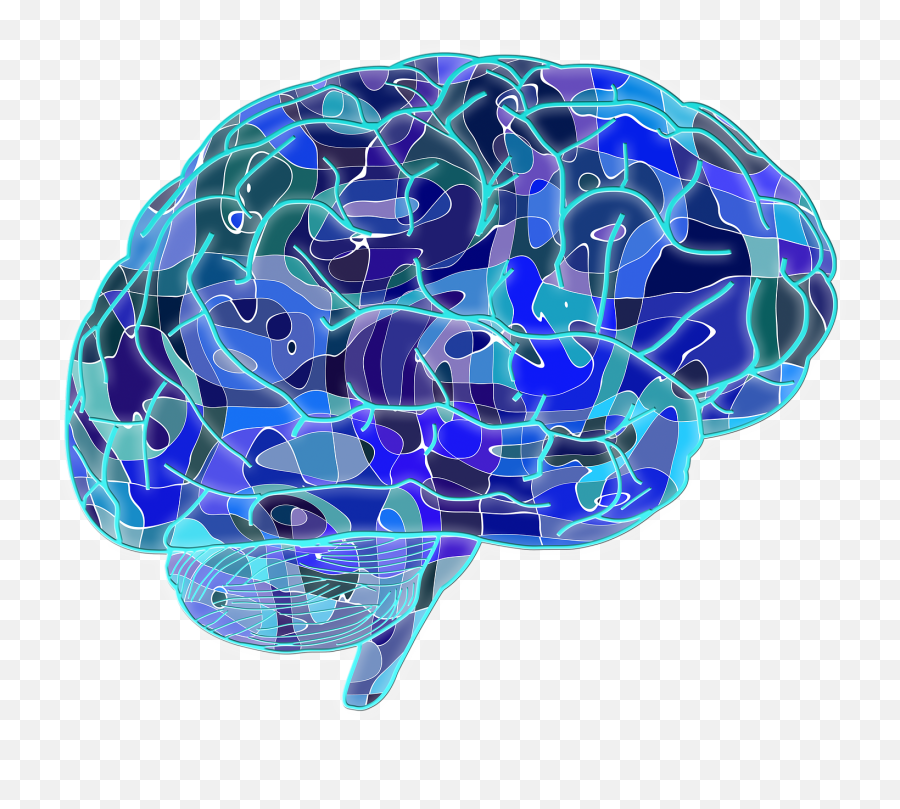 Music Emotion And The Brain Junior - Brain Psychology Transparent Emoji,Music And Emotion