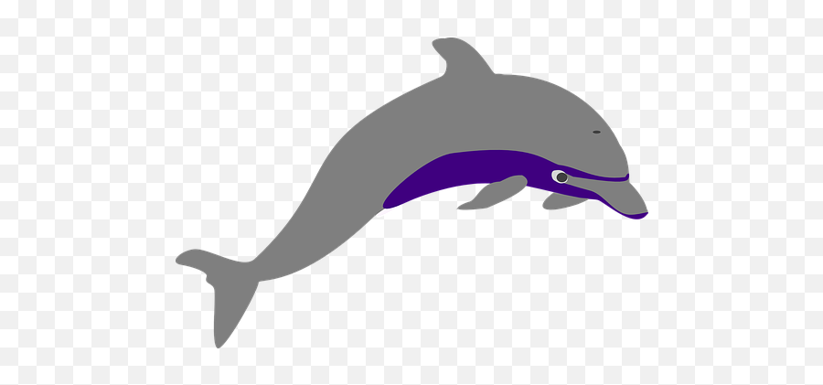 70 Free Dolphins U0026 Mammal Vectors - Pixabay Vector Graphics Emoji,Dolphin Emoji