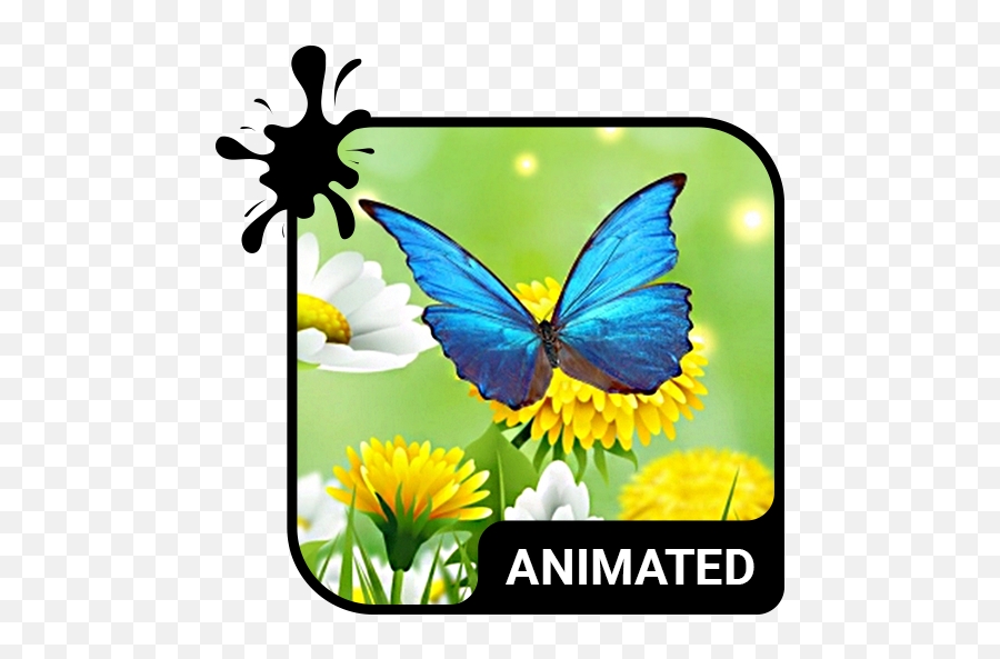 Summer Mood Animated Keyboard Live - Icon Emoji,Woodman Emojis