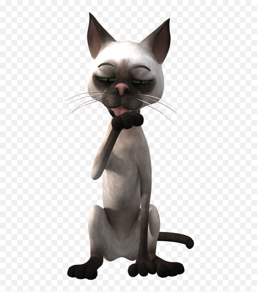 Toon Cat Toon Cat Funny Public Domain Image - Freeimg Cat Cheeky Transparent Background Emoji,Cat Emotions Illustration