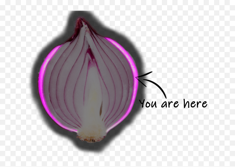 The Isolation Onion Making Sense Of - Language Emoji,Different Tears Onions Vs Emotion