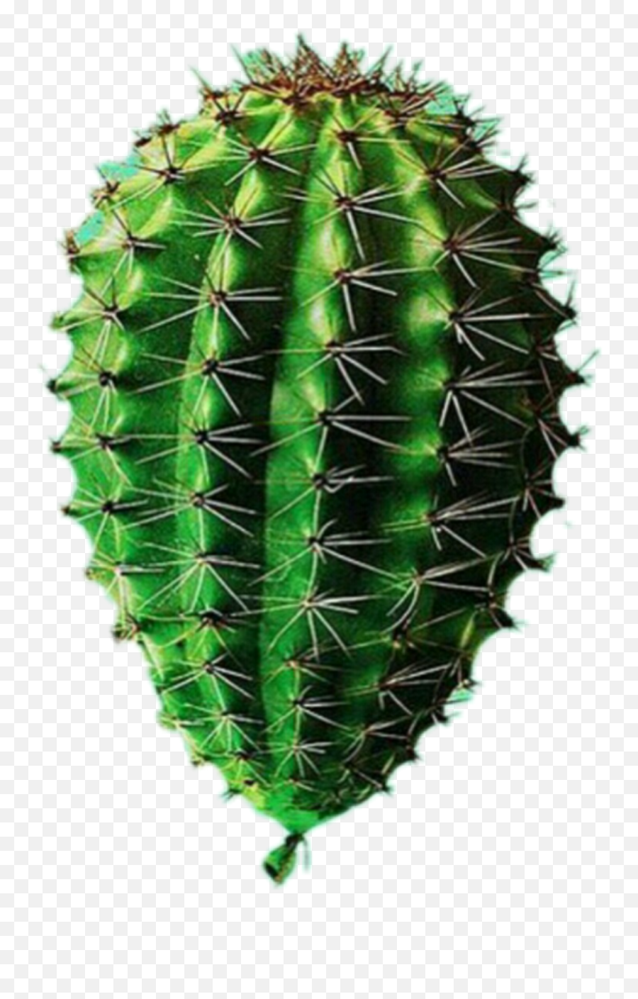 Art Cactus Different Balloon Sticker - Surrealismo Cacto Emoji,Cactus Art Emoji