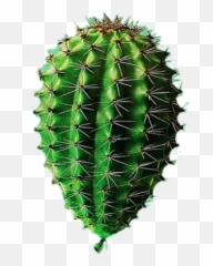 Art Cactus Different Balloon Sticker - Surrealismo Cacto Emoji,Cactus Art Emoji