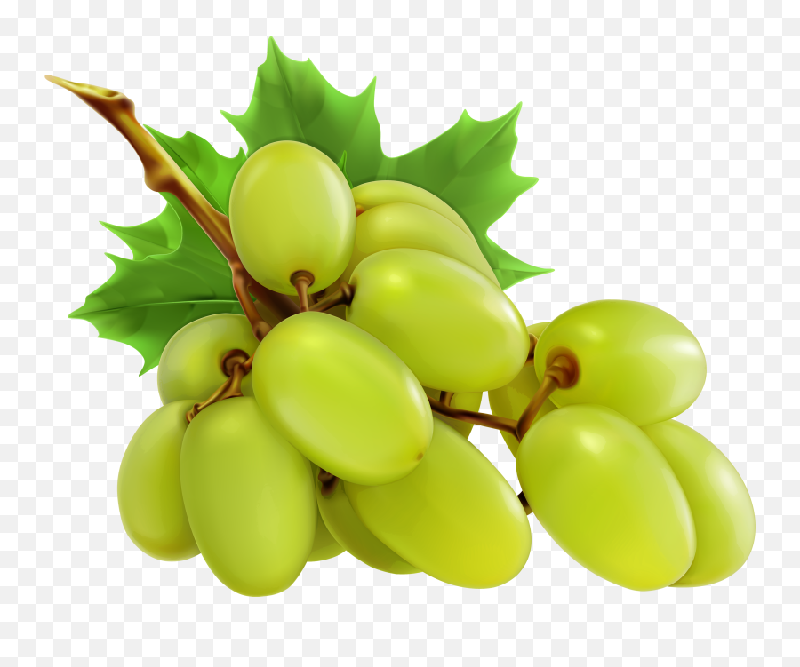 White Grapes Clipart Web Clipart - Grapes Clipart Png Emoji,Grape Emoji