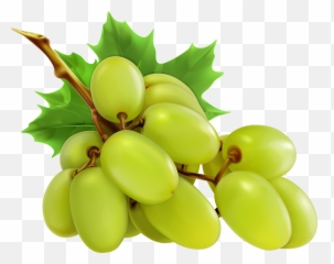 White Grapes Clipart Web Clipart - Grapes Clipart Png Emoji,Grape Emoji