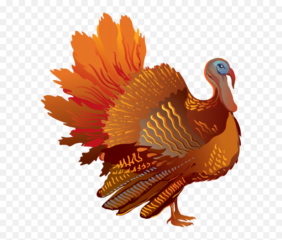 Turkeys Clipart Google Turkeys Google Transparent Free For - Thanksgiving Turkey Clip Art Emoji,Thanksgiving Turkey Emoji