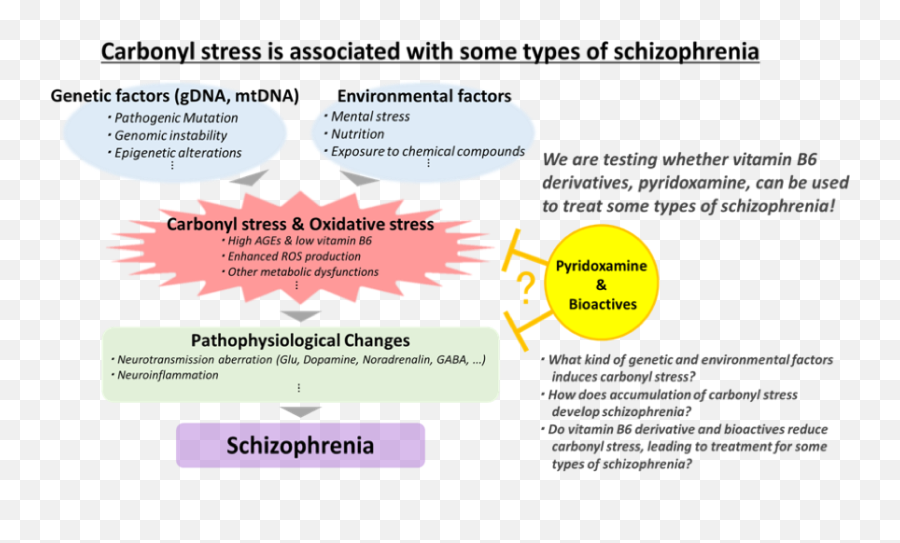 Schizophrenia Research Project - Schizophrenia Models Emoji,Schizophrenia & Emotions