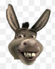 Popular And Trending Donky Stickers On Picsart Emoji,Donkey Jackass Emoji Facebook