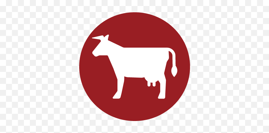 Flagler Coop Association - Homepage Emoji,Cash Cow Emoji