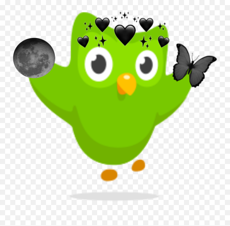 Duolingo Duo Spanish Sticker - Duolingo Emoji,Duolingo Emoji