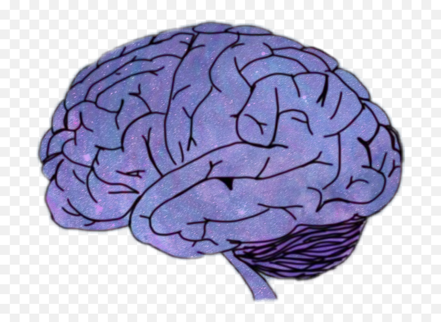 Brain Galaxy Sticker - Cerebro Sticker Emoji,Galaxy Brain Emoji