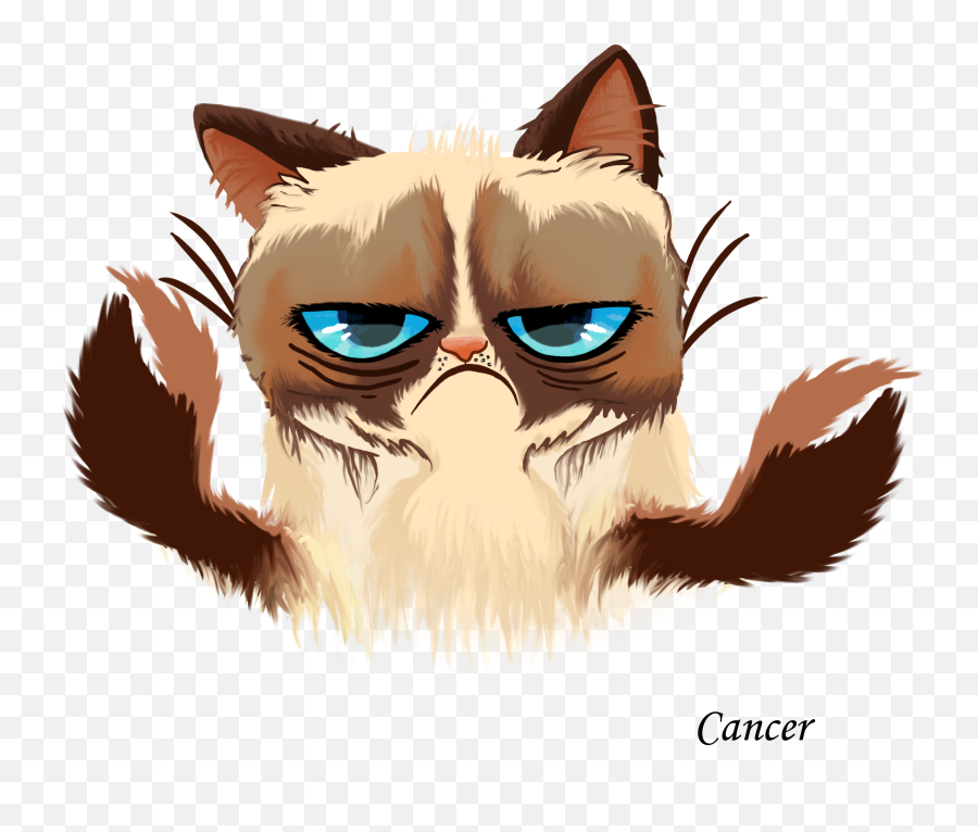 Grumpy Cat Kitten Cats And The Internet - Grumpy Cat Art Vector Emoji,Grumpy Cat Emojis