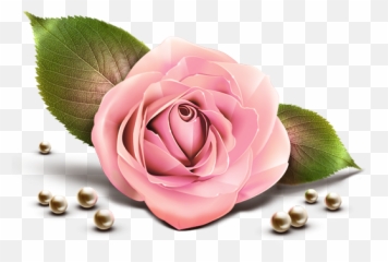Free Pink Roses Transparent Background - Clipart Pink Rose Png Emoji,Pink Rose Emoji