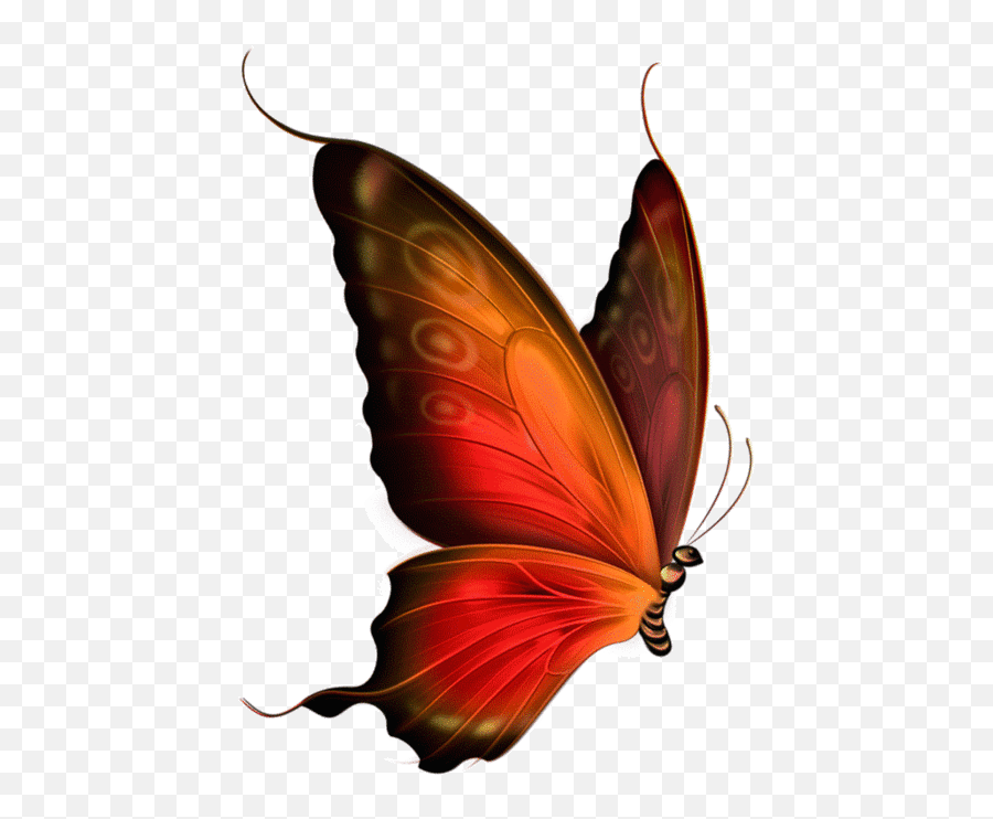 Flying Butterfly Wallpaper Gif - Red And Brown Transparent Butterfly Clipart Emoji,Cute Emoticons .gif