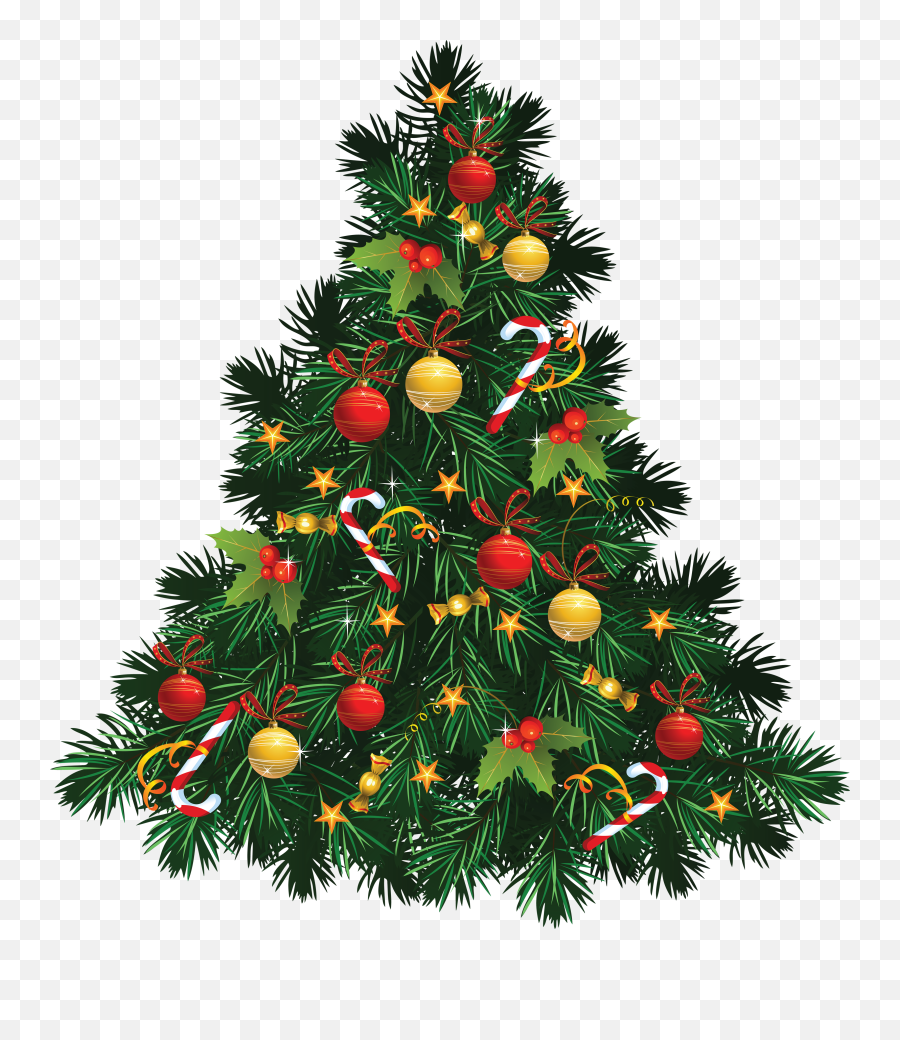X - Mas Tree Clipart Best Christmas Tree Png Emoji,Christmass Tree Emoji