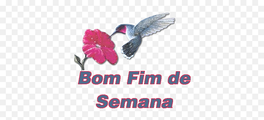 Cristo Minha Certeza 062912 - Hummingbird Emoji,Emoticons Envergonhados