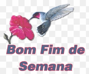 Cristo Minha Certeza 062912 - Hummingbird Emoji,Emoticons Envergonhados
