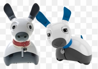 Miro - Miro Robot Price Emoji,Can Robots Feel Emotion