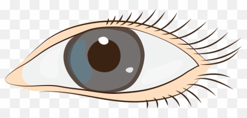 Eyes Sight Face Clip Art Graphics - Augen Bilder Clipart Eyes Clipart Emoji,Eyes Emotion Clipart