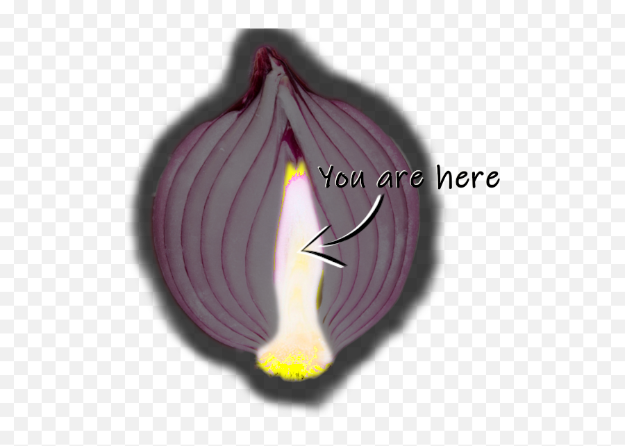 The Isolation Onion Making Sense Of - Elephant Garlic Emoji,Different Tears Onions Vs Emotion