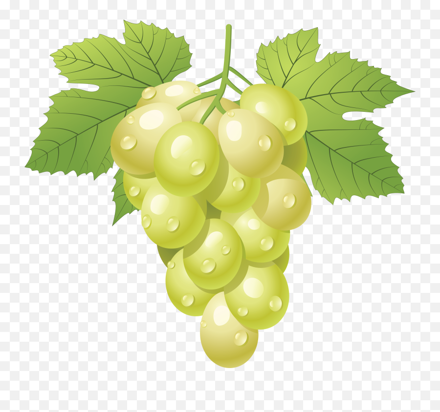Grapes Grape Image Free Picture - Green Grape Seed Png Emoji,Grape Emoji
