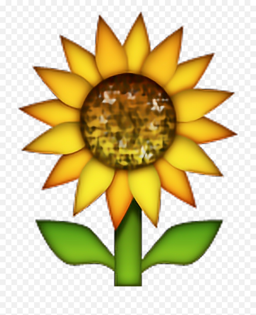 Download Sunflower Emoji Flowers - Sunflower Ios Emoji Png,Sunflower Emoji