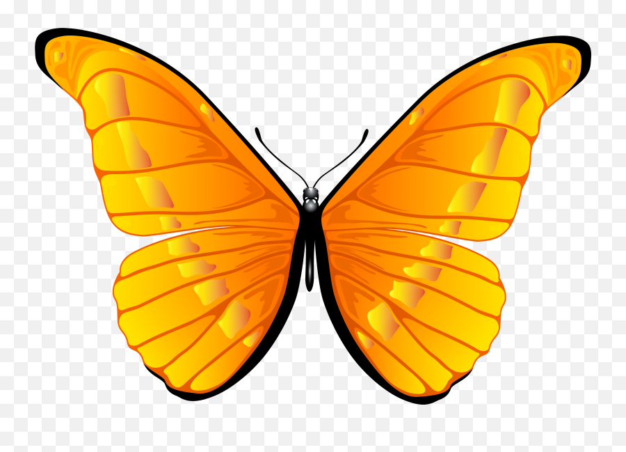 Orange Butterfly Png Clip Art Clipart 7000 4739 Bbq - Orange Butterfly Clipart Png Emoji,Purplebutterfly Emojis