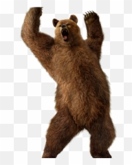 Scary Bear Png Official Psds Emoji,Grizzly Bear Emojis