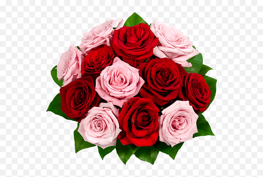 Long Stemmed Roses - Red And Pink Roses Bouquet Emoji,Deep Emotion Rose Bouquet Ftd