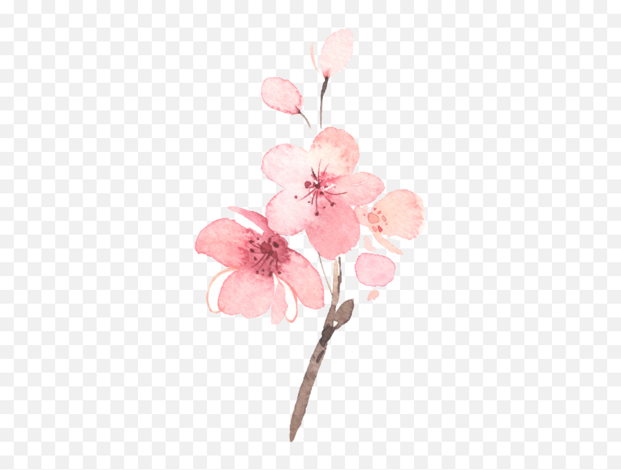 Cherry Blossom Pink Floral Wedding Emoji,Cherry Blossom Emoji