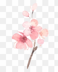 Cherry Blossom Pink Floral Wedding Emoji,Cherry Blossom Emoji