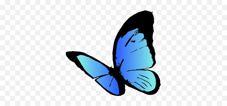 10 Free Butterfly Icon U0026 Butterfly Vectors - Pixabay Girly Emoji,Butterfly Emoji Png