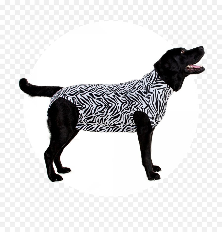 Mps - Medical Pet Shirt Dog Medical Pet Shirts Medical Pet Shirt Zebre Emoji,Neutered Dog Emoticons