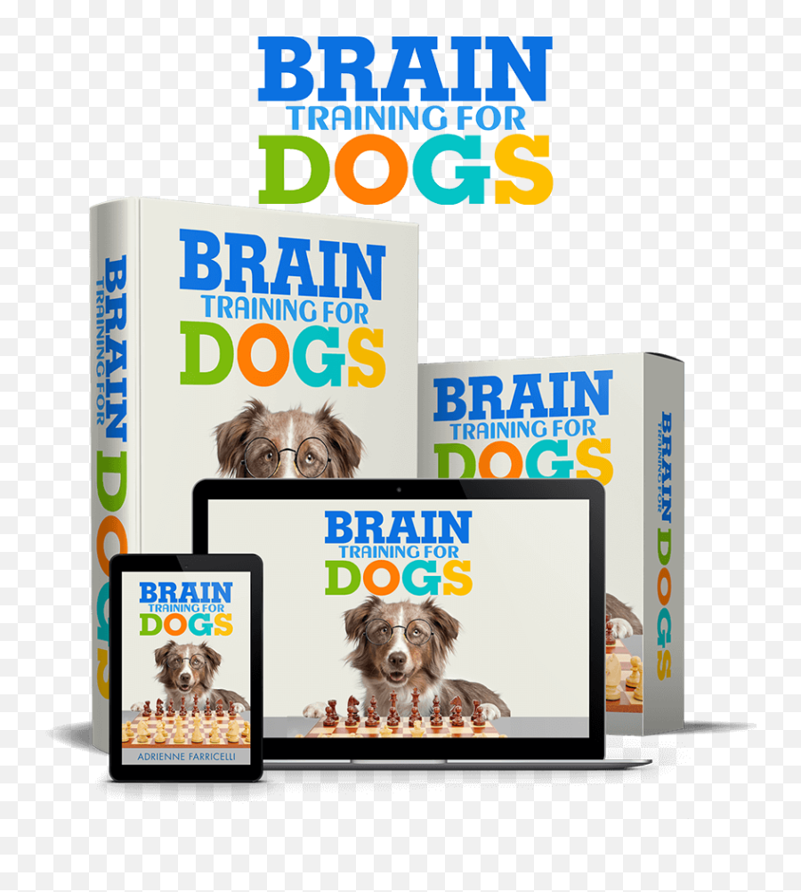 Business Marketing For Local Businesses - Brain Training For Dogs Review Emoji,Hate Is A Waste Of Emotion Dj Khaled