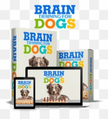 Business Marketing For Local Businesses - Brain Training For Dogs Review Emoji,Hate Is A Waste Of Emotion Dj Khaled