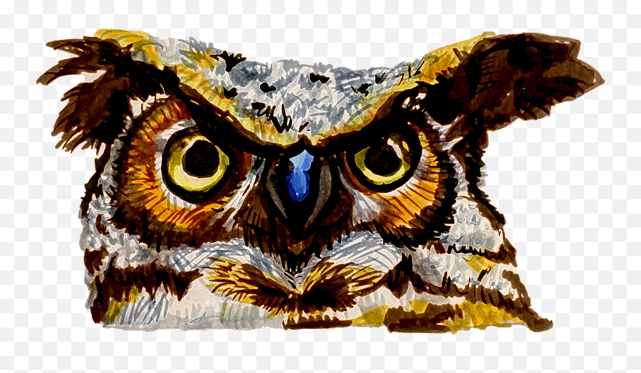 Lharrietu0027s Art Treasures - Mixed Media Art Eastern Screech Owl Emoji,Angry Emotion Pixaby