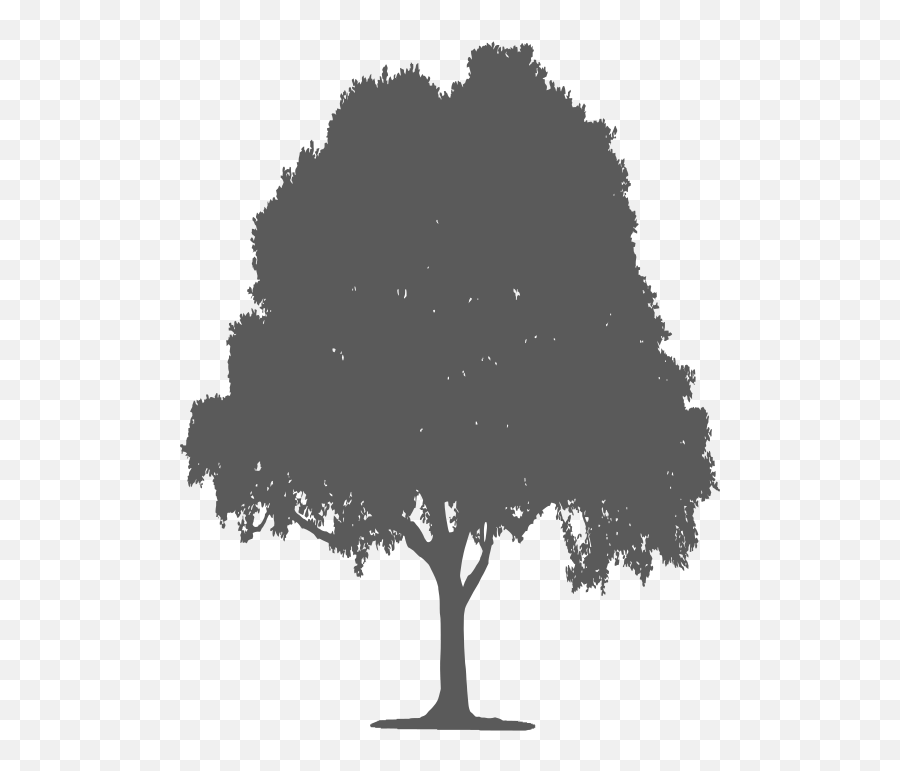 Tree Silhouette Free Svg File - Sketch Emoji,Emoji Svg Tree