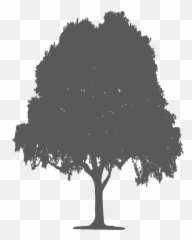 Tree Silhouette Free Svg File - Sketch Emoji,Emoji Svg Tree