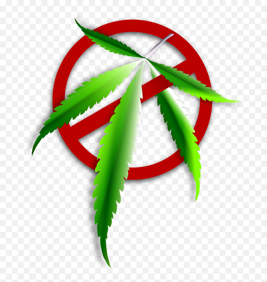 Icon Characters Marijuana Weed Png Image - Ganja Dan Narkoba Icon Narkoba Png Emoji,Weed Plant Emoji