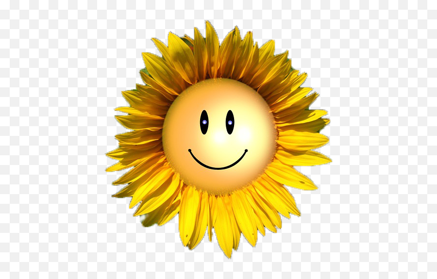 Girasoles Png - Sunflower With Smiley Face 3494785 Vippng Sunflower With Smiley Face Emoji,Light Blue Face Emoticon