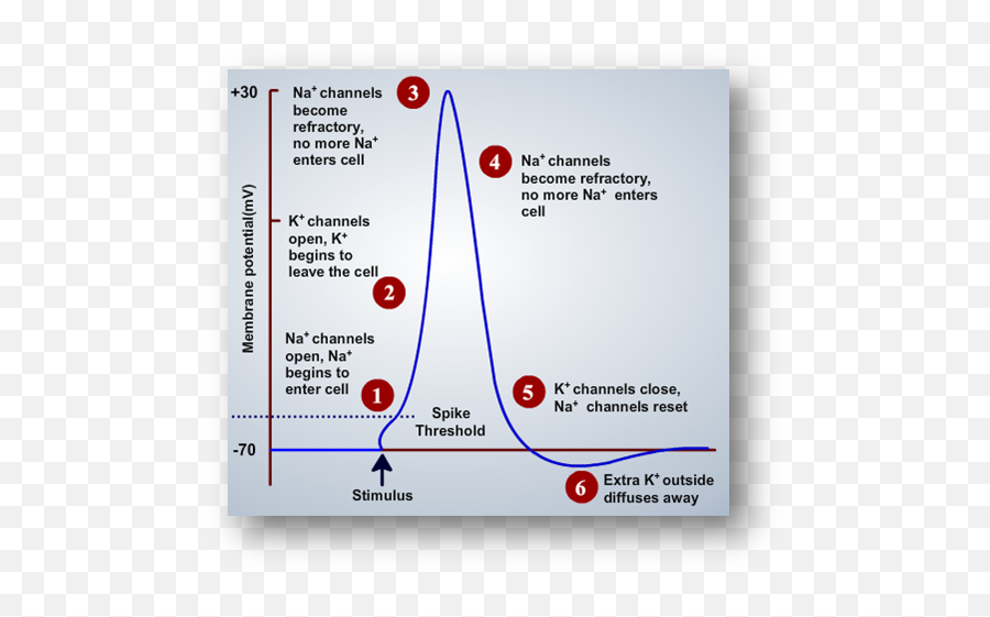 Cemarshall - Action Potential Graph Labeled Emoji,Inside Out Graph Of Emotions