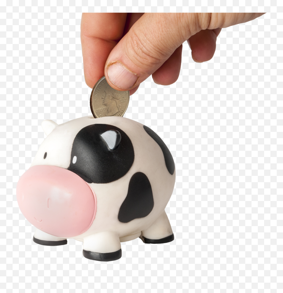 Select Sires - Cow Piggy Bank Emoji,Raw Emotion Hereford Boar