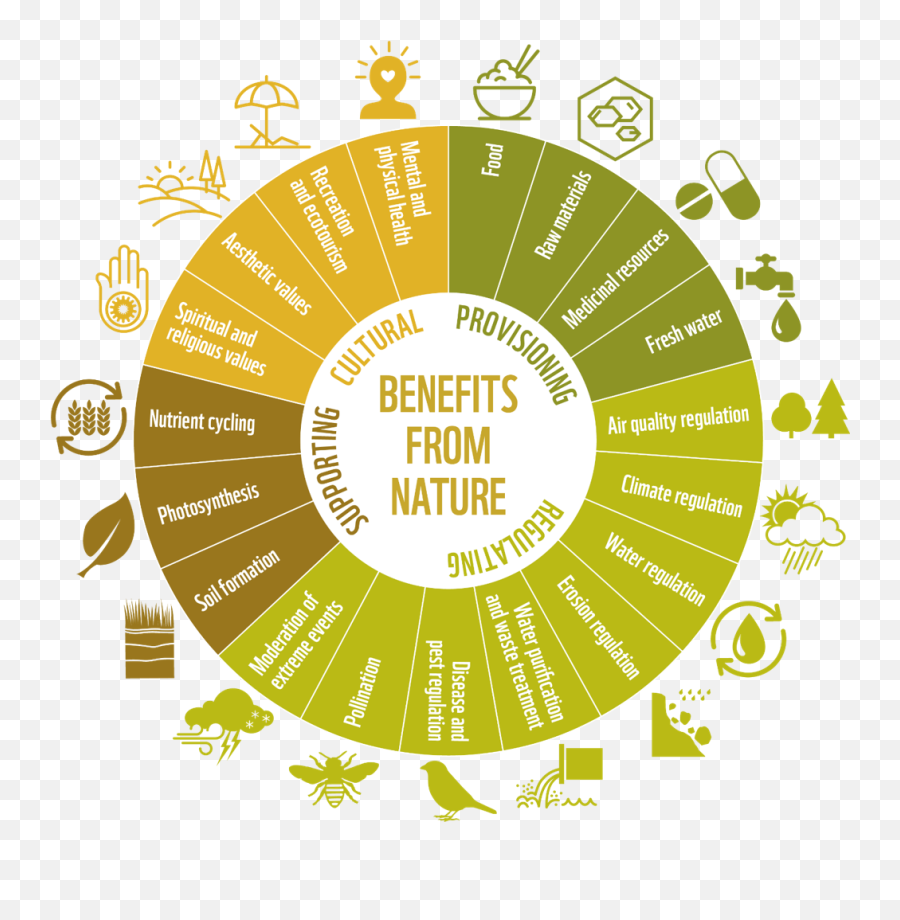 Living Planet Report How To Use The Wwf Report With Emoji,Emotion Regulation Worksheets For Highschool Students Shorts Pages Living Planet Report How To Use The Wwf Report With Emoji,Emotion Regulation Worksheets For Highschool Students Shorts Pages
